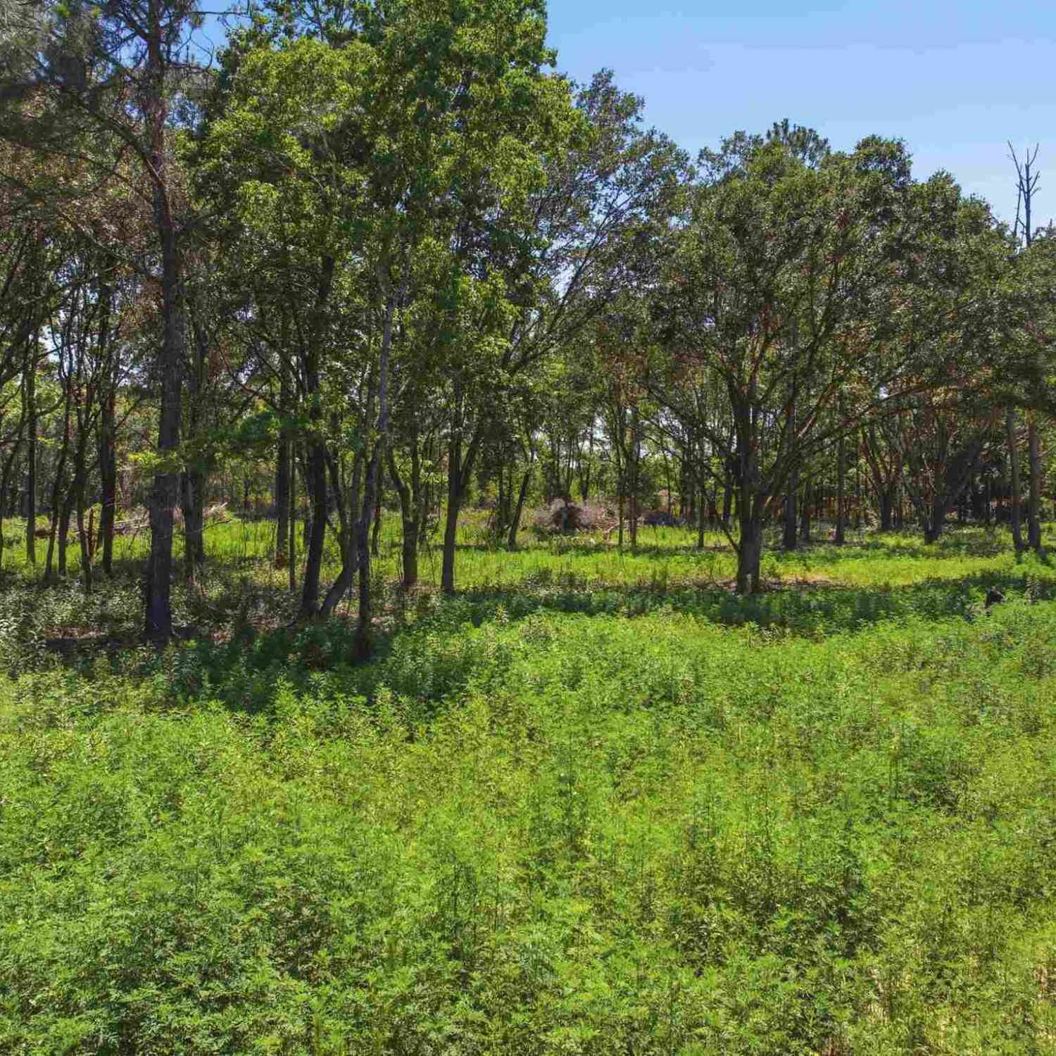 Vacant Land For Sale - 5228 Josacs Tr<br/> Milton, FL 32583