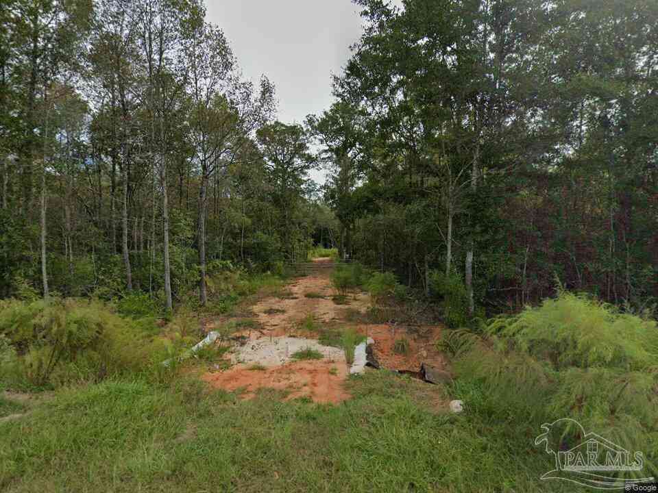 Vacant Land For Sale - 4536 Black Oak Rd<br/> Milton, FL 32583