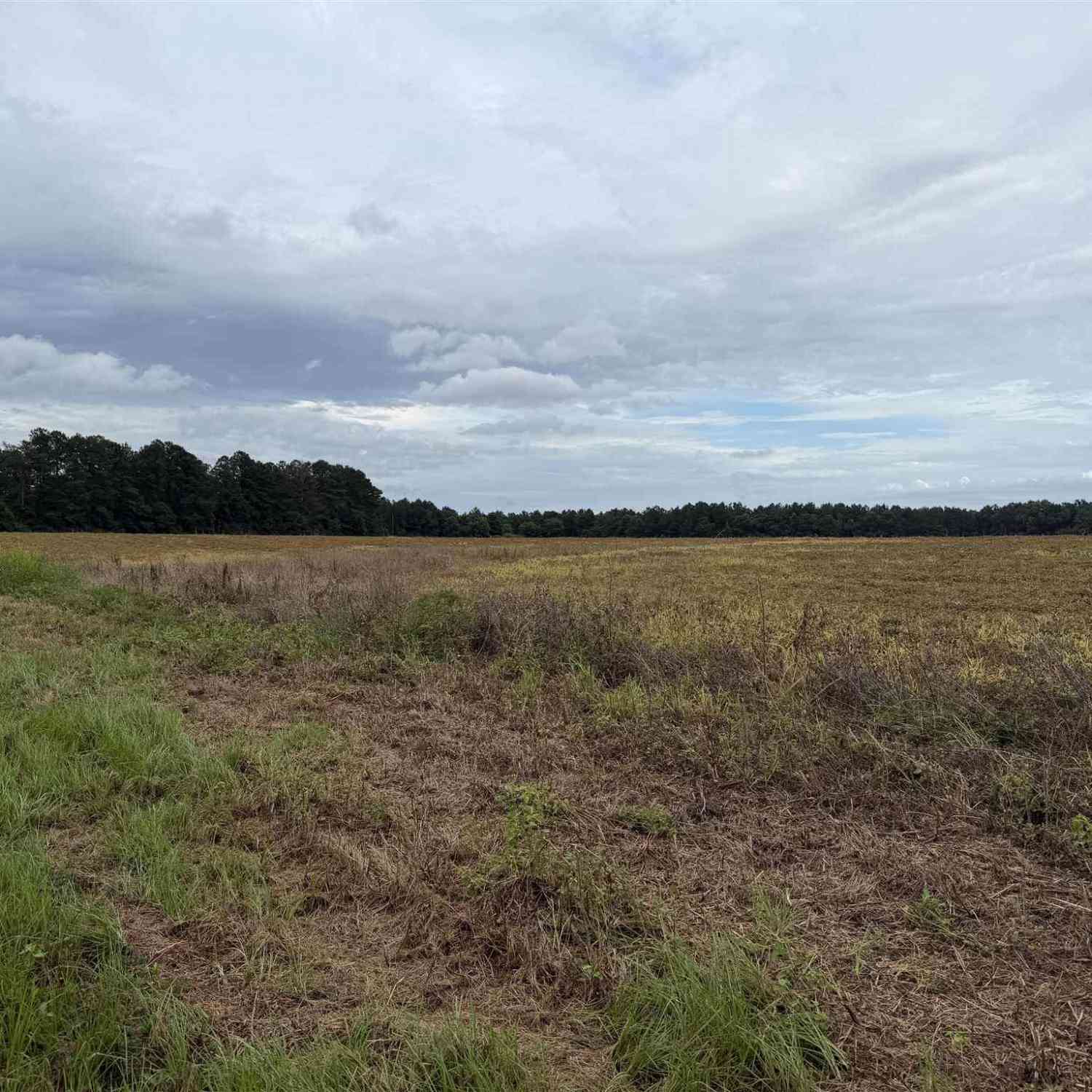 Vacant Land For Sale - 7600 BLOCK Bratt Rd<br/> Century, FL 32535