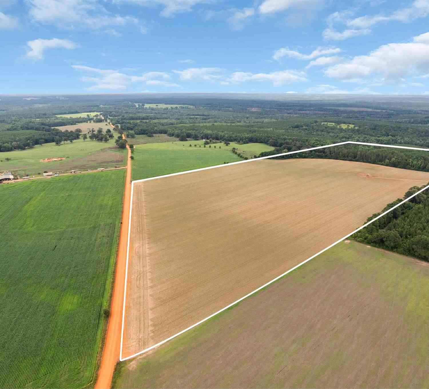 Vacant Land For Sale - Old Stage Rd<br/> Repton, AL 36475