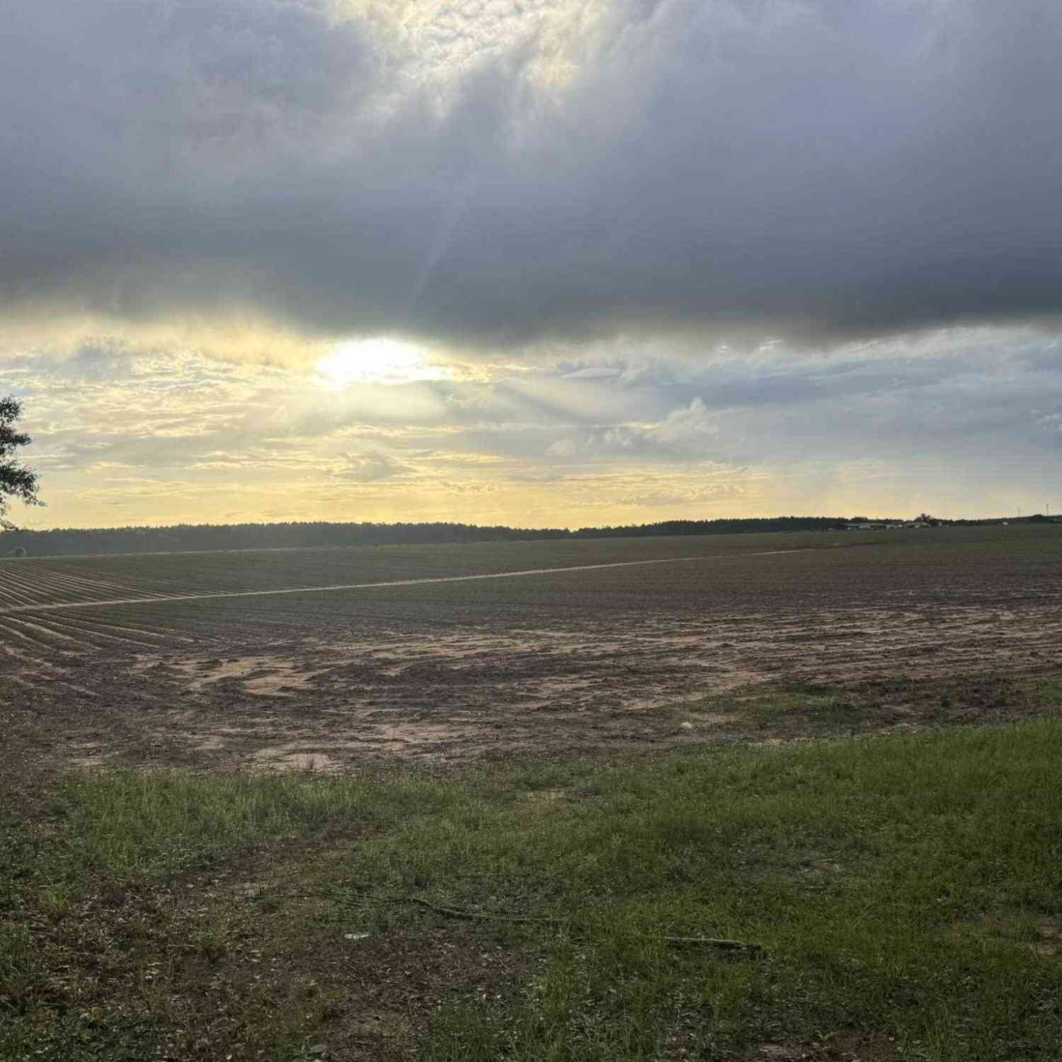 Vacant Land For Sale - 1 Old Stage Rd<br/> Repton, AL 36475