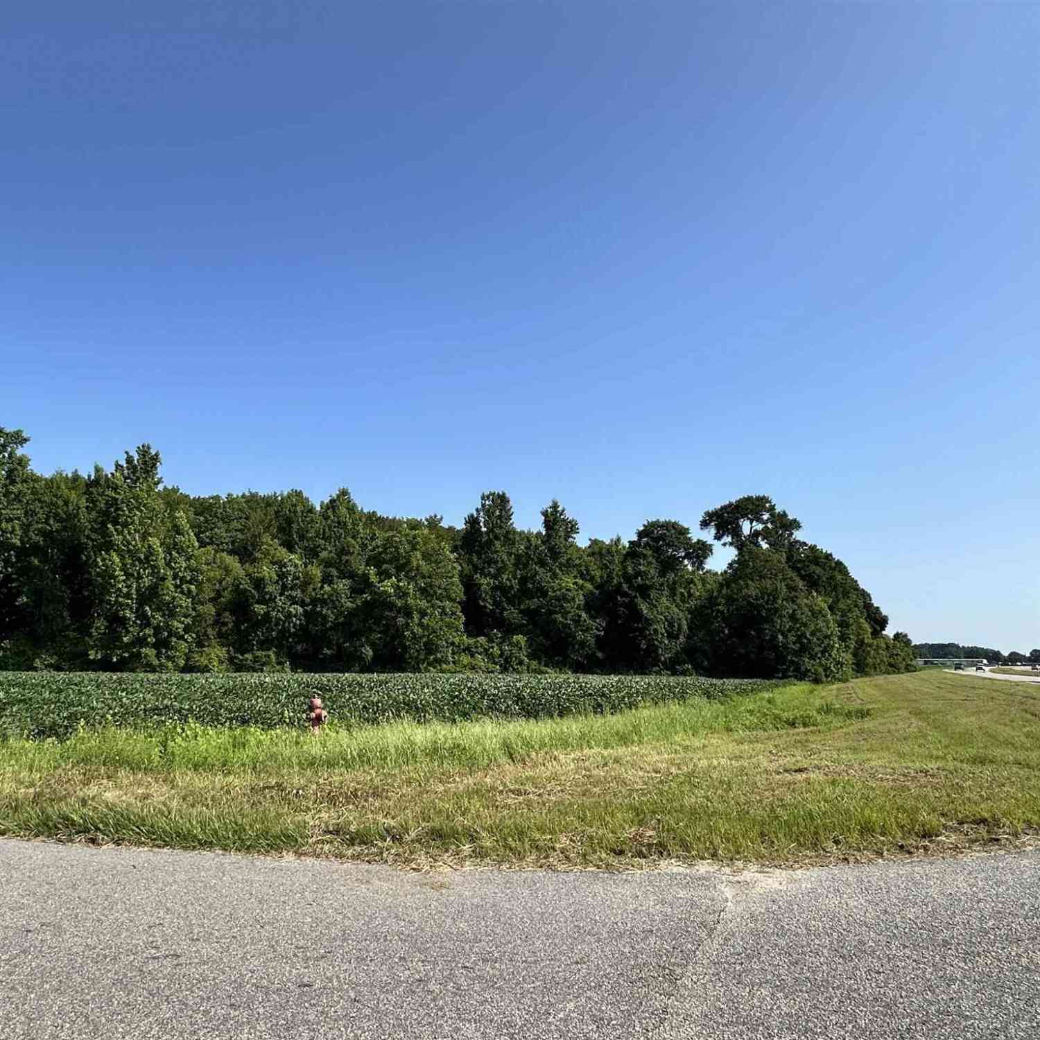 Vacant Land For Sale - Hwy 21<br/> Atmore, AL 36502