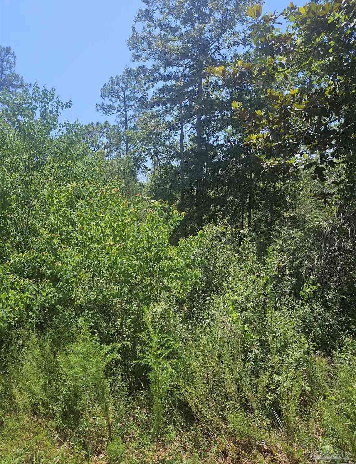 Vacant Land For Sale - 5159 Santa Monica St<br/> Milton, FL 32570