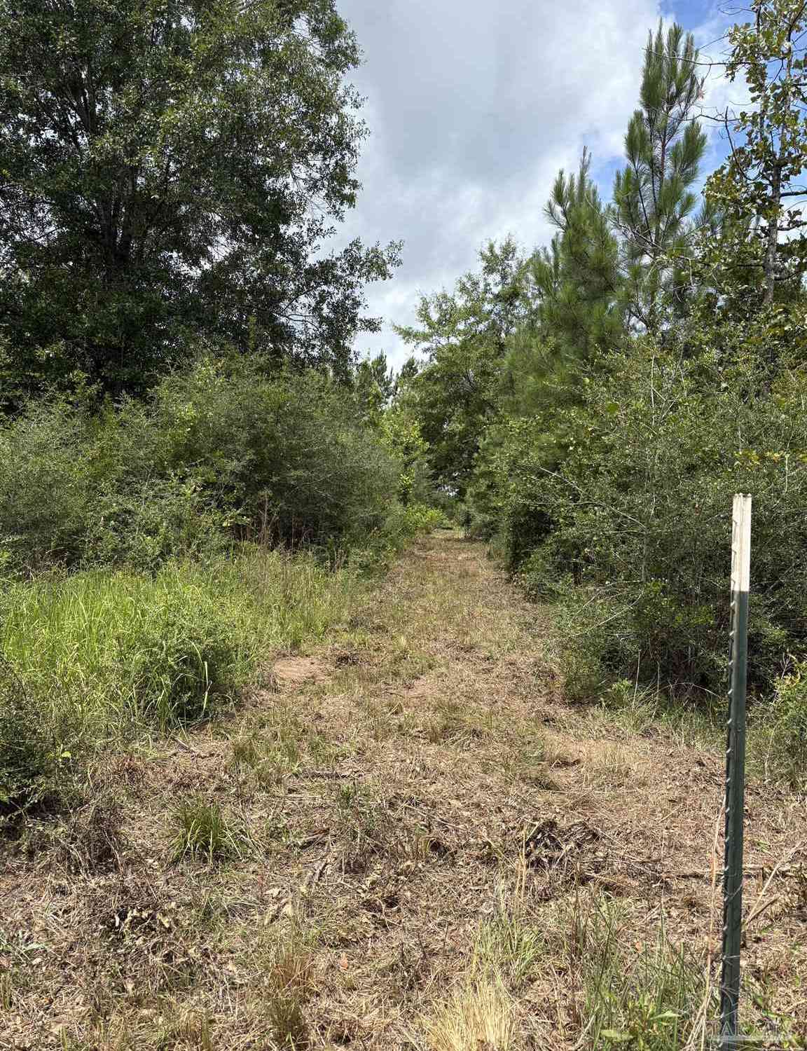Vacant Land For Sale - 2800 BLK Velor Rd<br/> Mcdavid, FL 32568