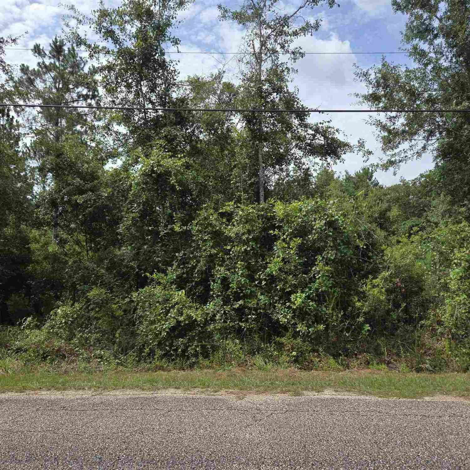 Vacant Land For Sale - LOT 0 Fieldcrest St<br/> Milton, FL 32583