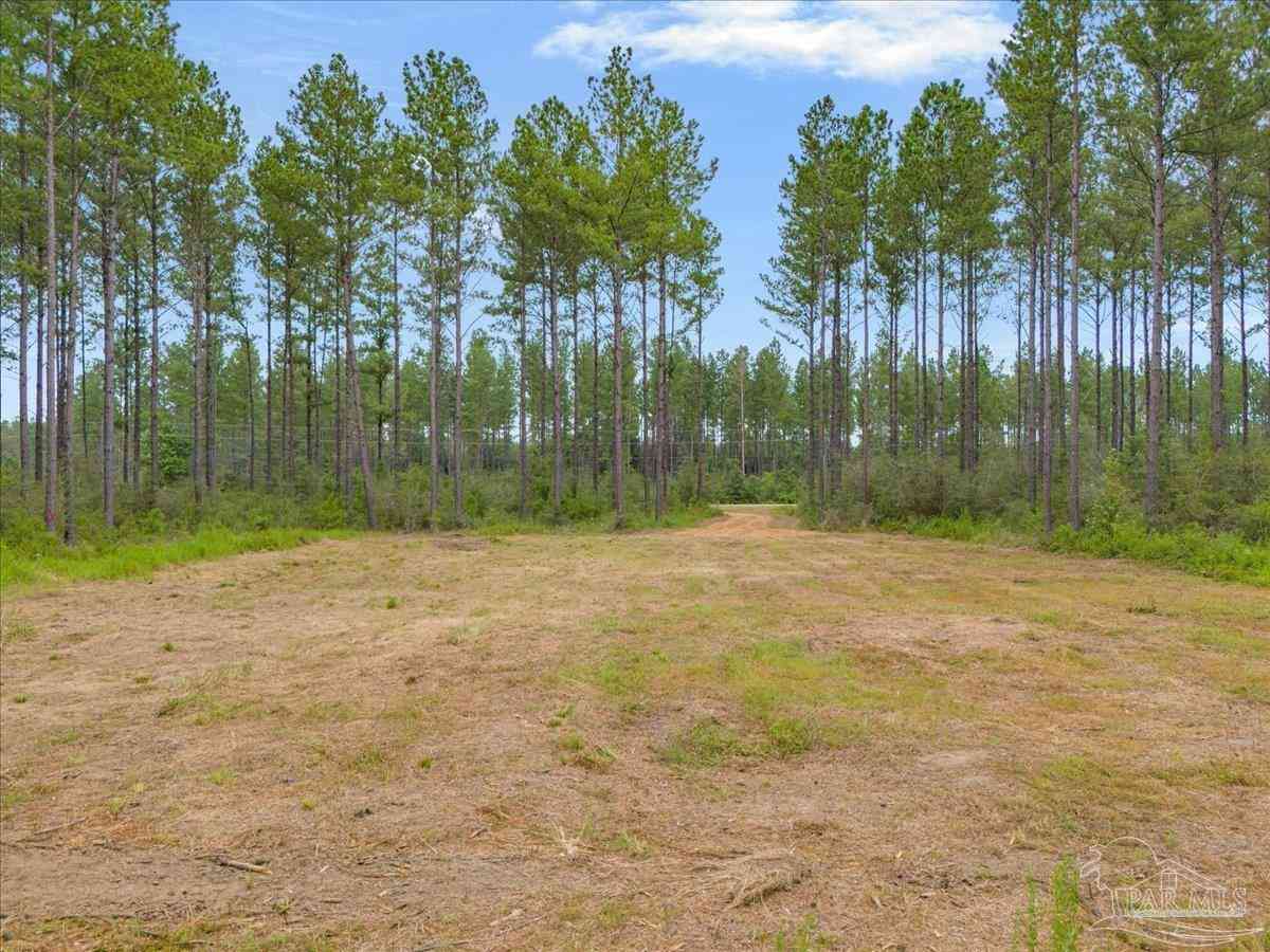 Vacant Land For Sale - 1403 Mineral Springs Rd<br/> Jay, FL 32565