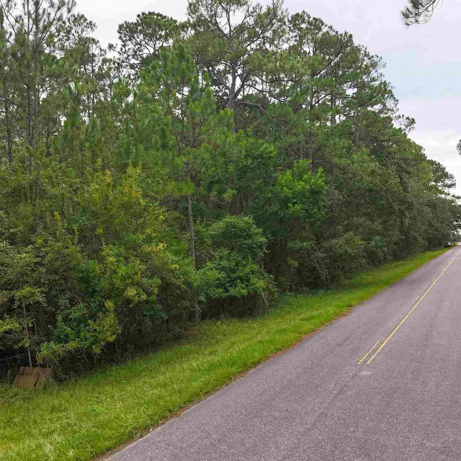 Slider Thumb