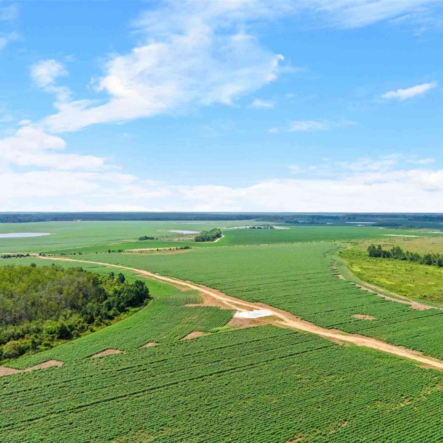 Vacant Land For Sale - Manning Rd<br/> Atmore, AL 36502