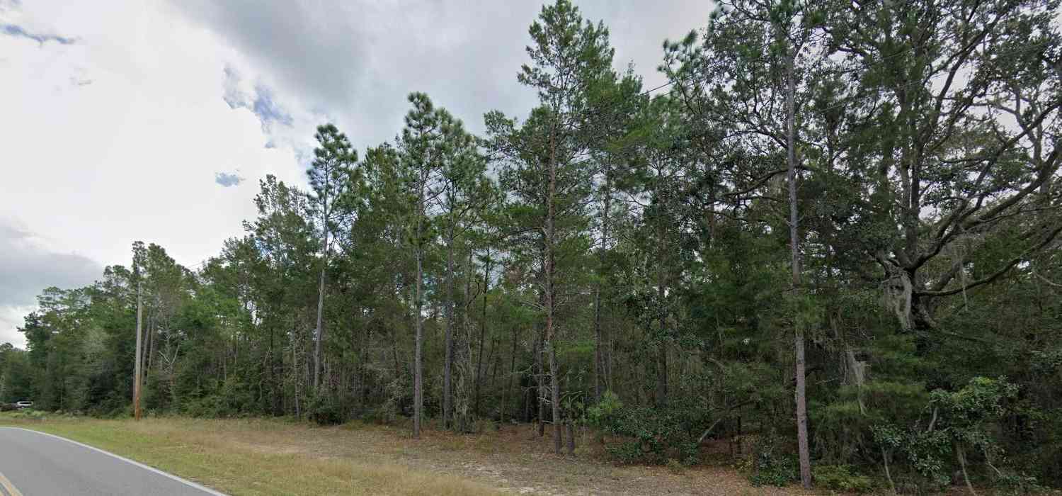Vacant Land For Sale - 108 W Hillsborough Ave<br/> Florahome, FL 32140
