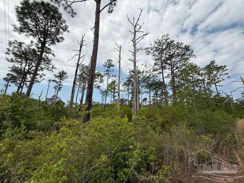 Vacant Land For Sale - 6589 Aegean Dr<br/> Milton, FL 32583