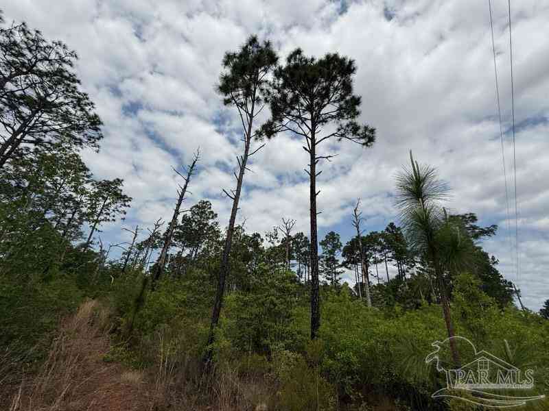 Vacant Land For Sale - 6589-1 Aegean Dr<br/> Milton, FL 32583