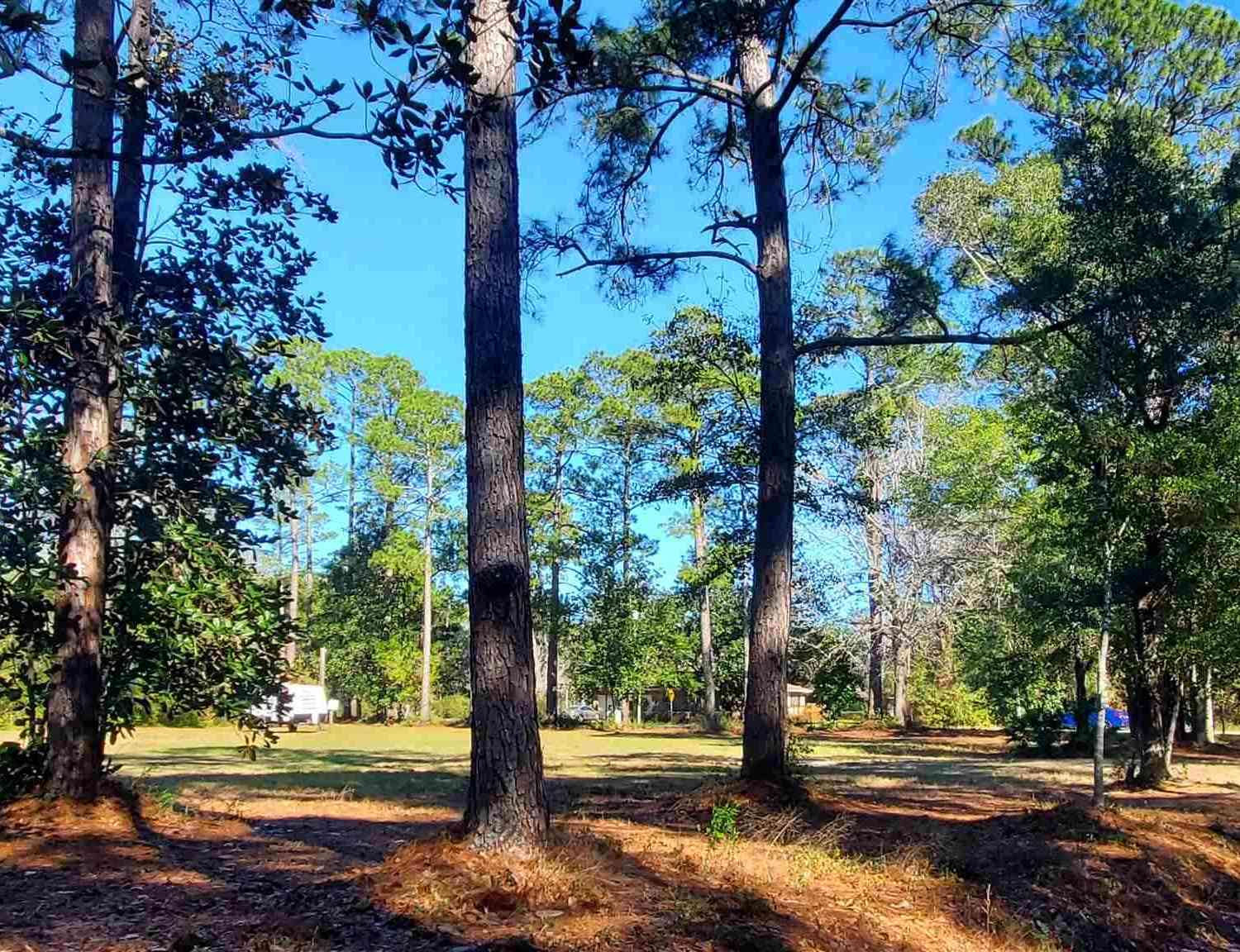 Vacant Land For Sale - 9660 Sidney Rd<br/> Pensacola, FL 32507