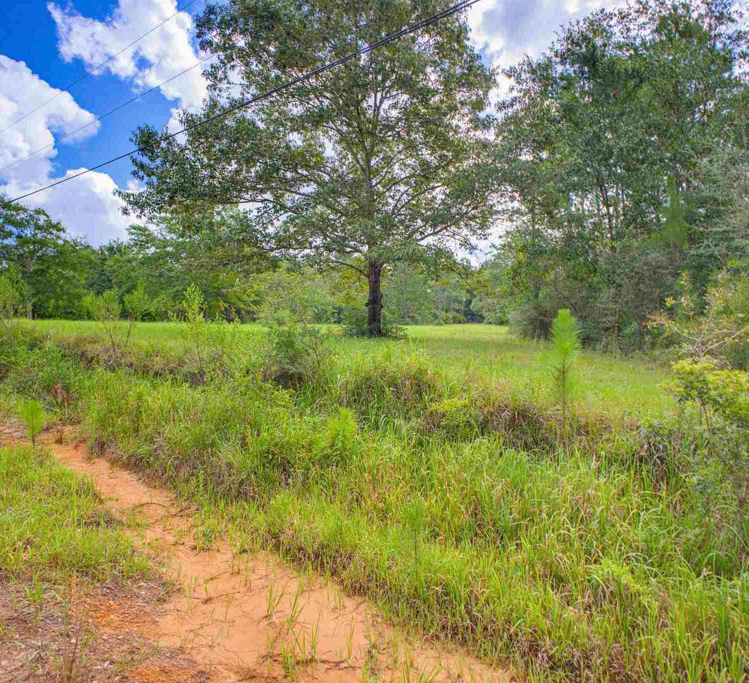 Vacant Land For Sale - 9550 Magnolia Springs Rd<br/> Pensacola, FL 32503