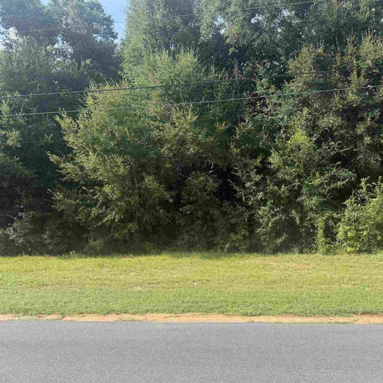 Vacant Land For Sale - 0000 Carlyn Dr<br/> Pace, FL 32571