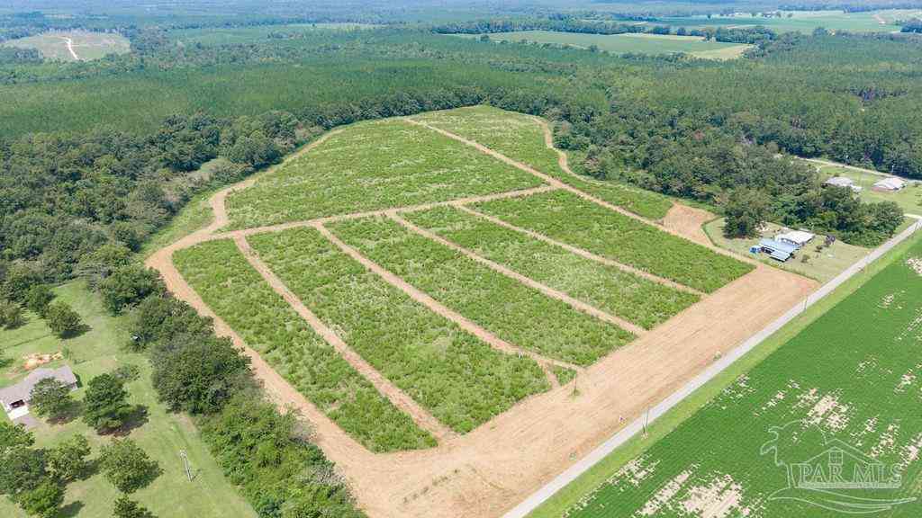 Vacant Land For Sale - LOT 7 Whistler Ln<br/> Jay, FL 32565