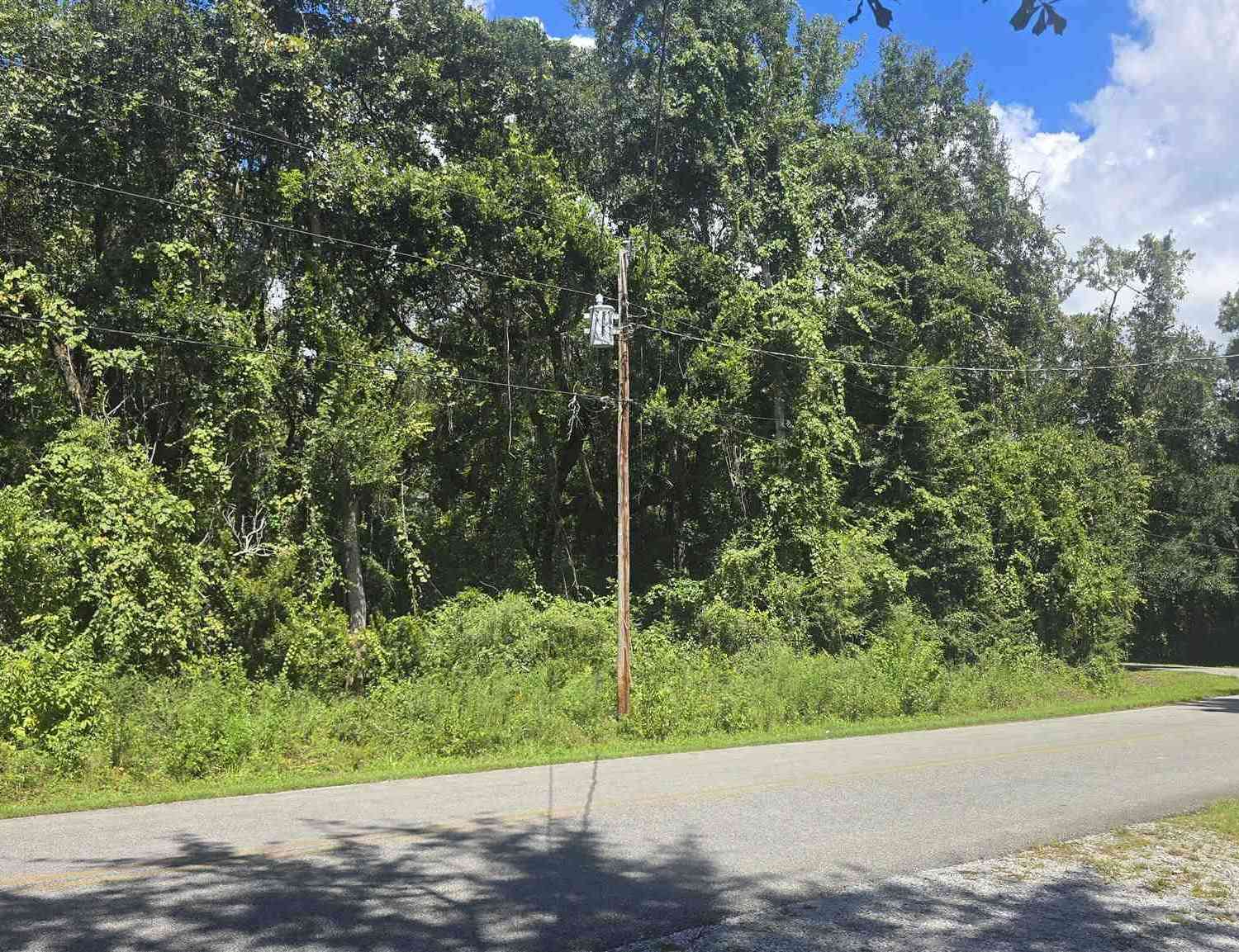 Vacant Land For Sale - 0000 E Bayou Forest Dr<br/> Freeport, FL 32439