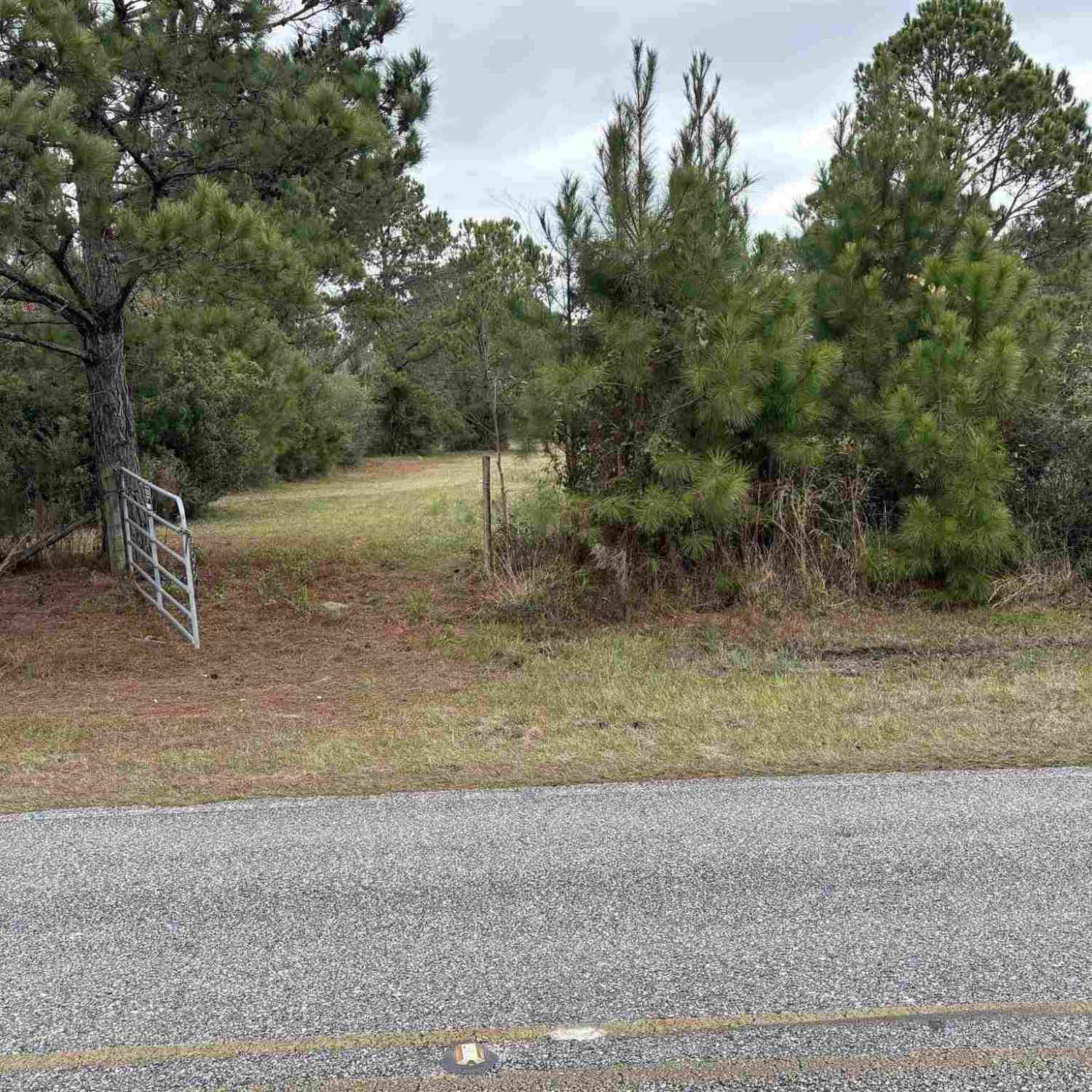 Vacant Land For Sale - 31849 Randolf Ave<br/> Lillian, AL 36549