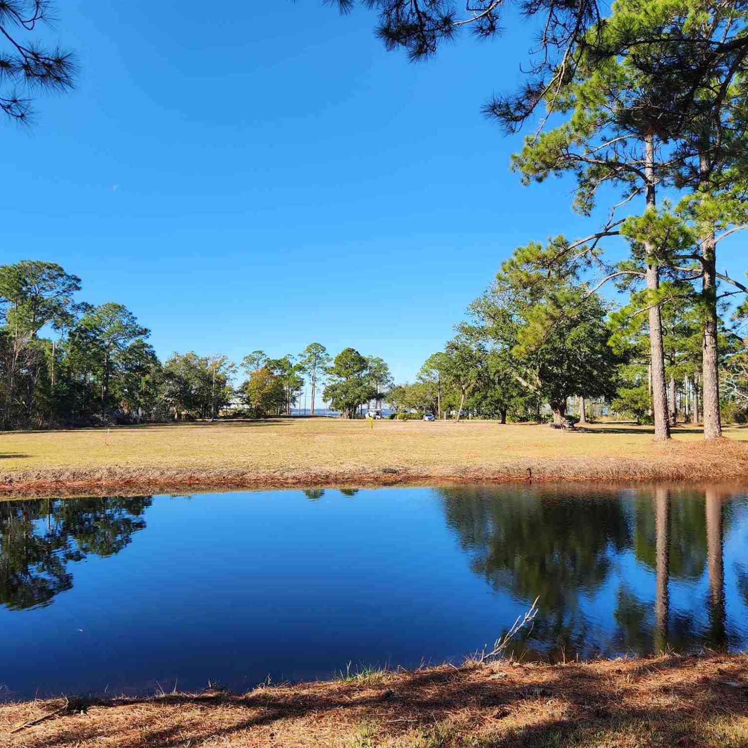 Vacant Land For Sale - 1164 Pearson Rd<br/> Milton, FL 32583