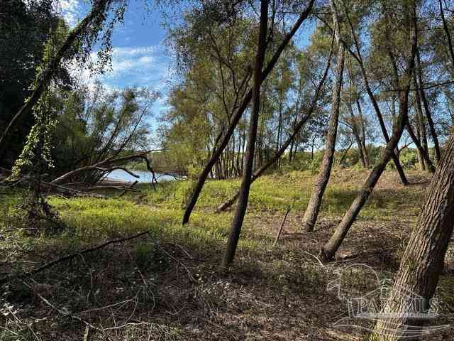 Homes For Rent - 000 Eureka Landing Rd<br/> Uriah, AL 36480