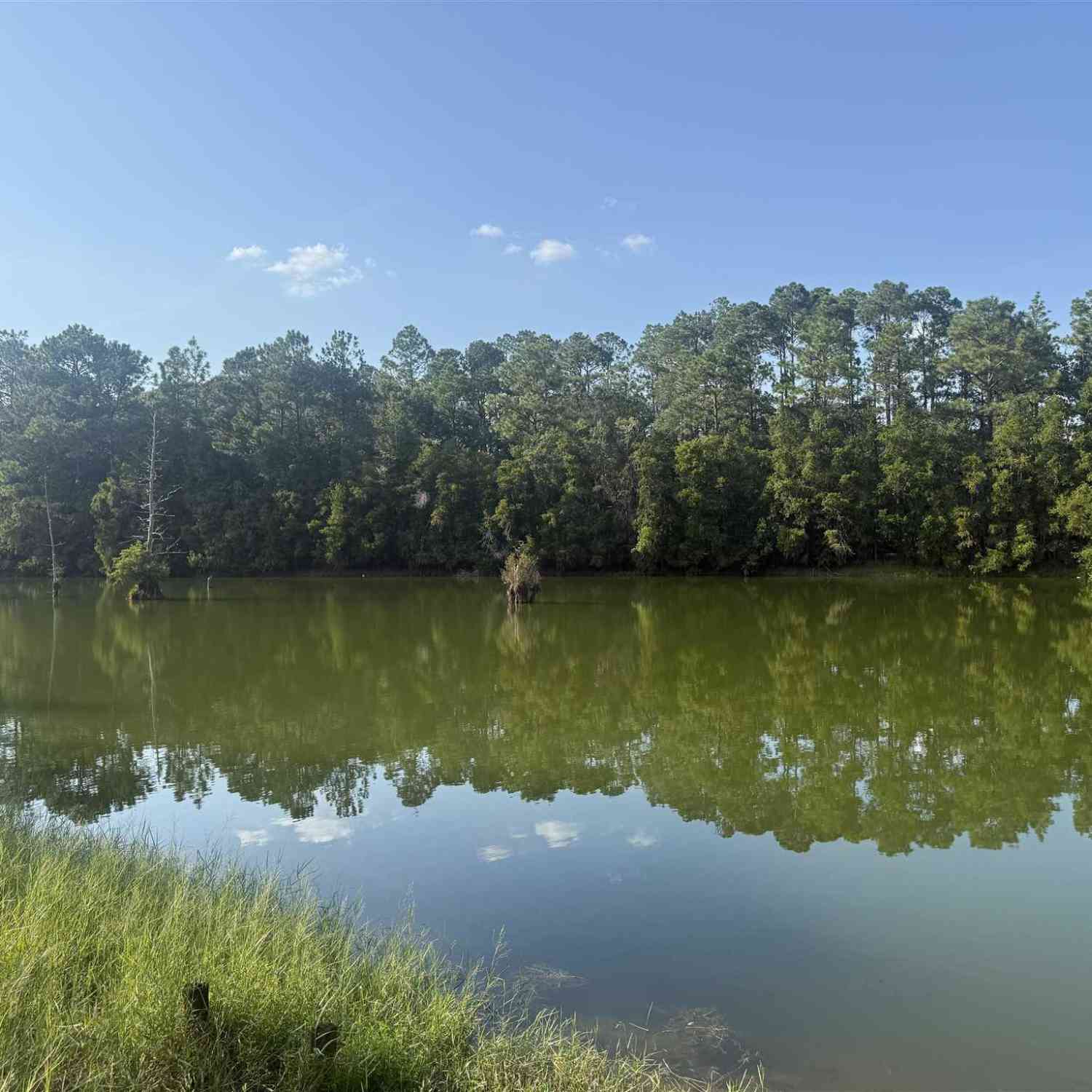 Vacant Land For Sale - 21A West Lake Rd<br/> Milton, FL 32583