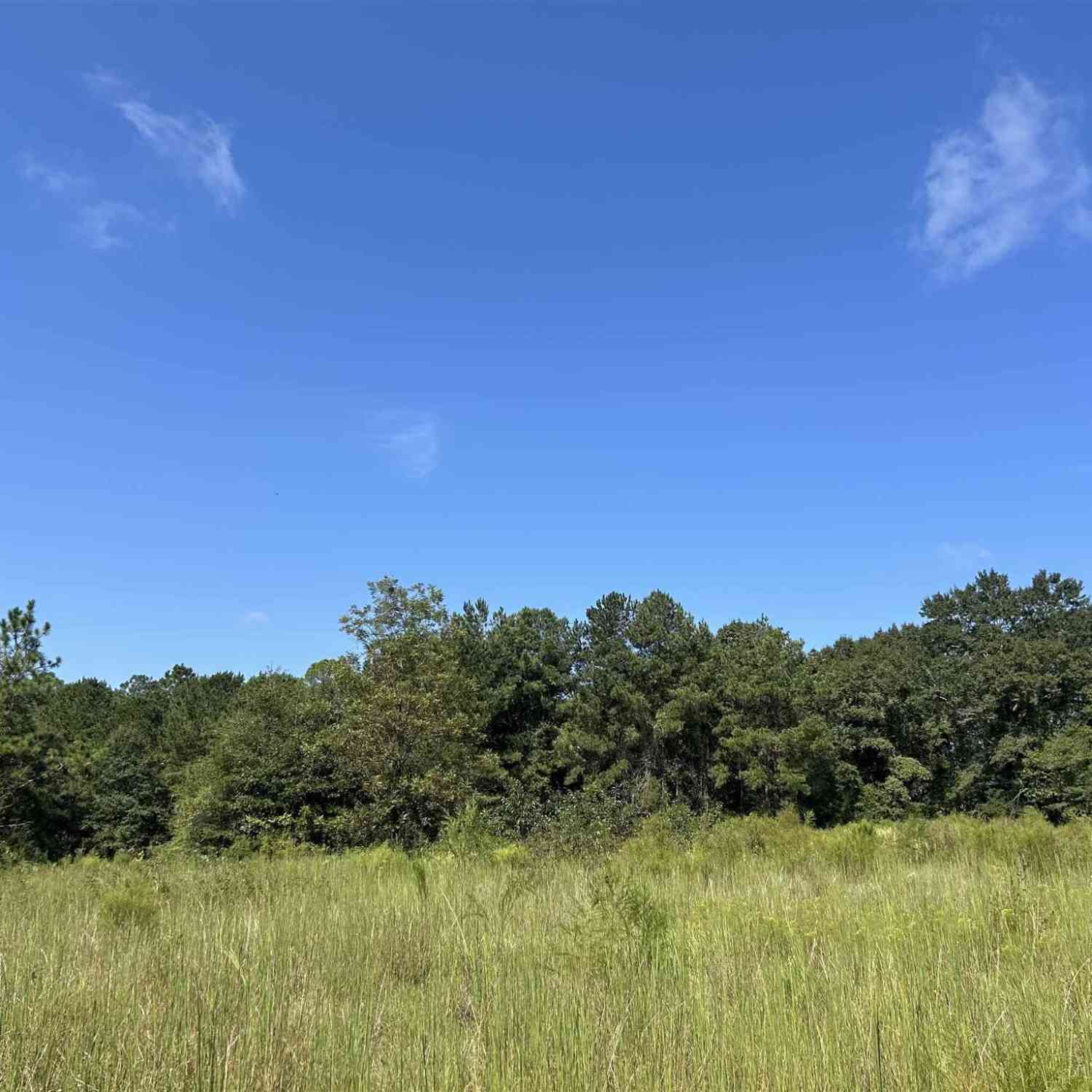 Vacant Land For Sale - 4949 Dobson Rd<br/> Jay, FL 32565