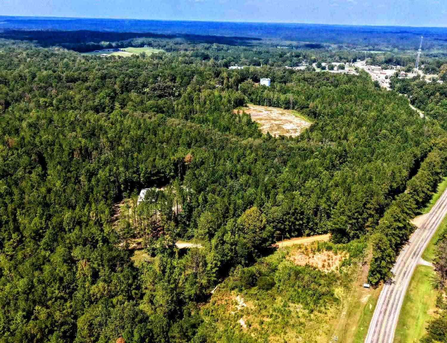 Vacant Land For Sale - Pheasant Rd<br/> Gilbertown, AL 36908