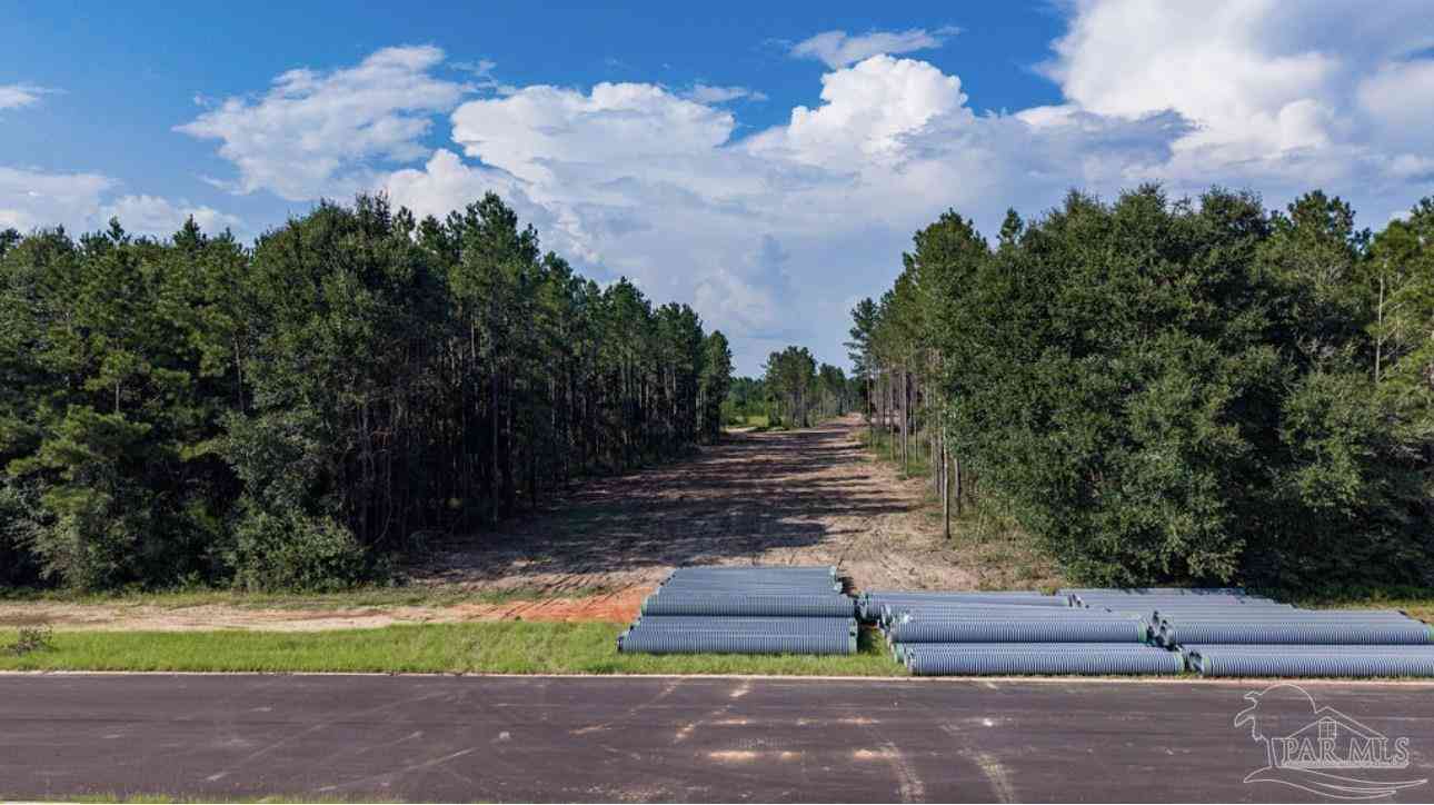 Vacant Land For Sale - LOT 71 Posie Forest Rd<br/> Santa Rosa County, Milton, FL 32570