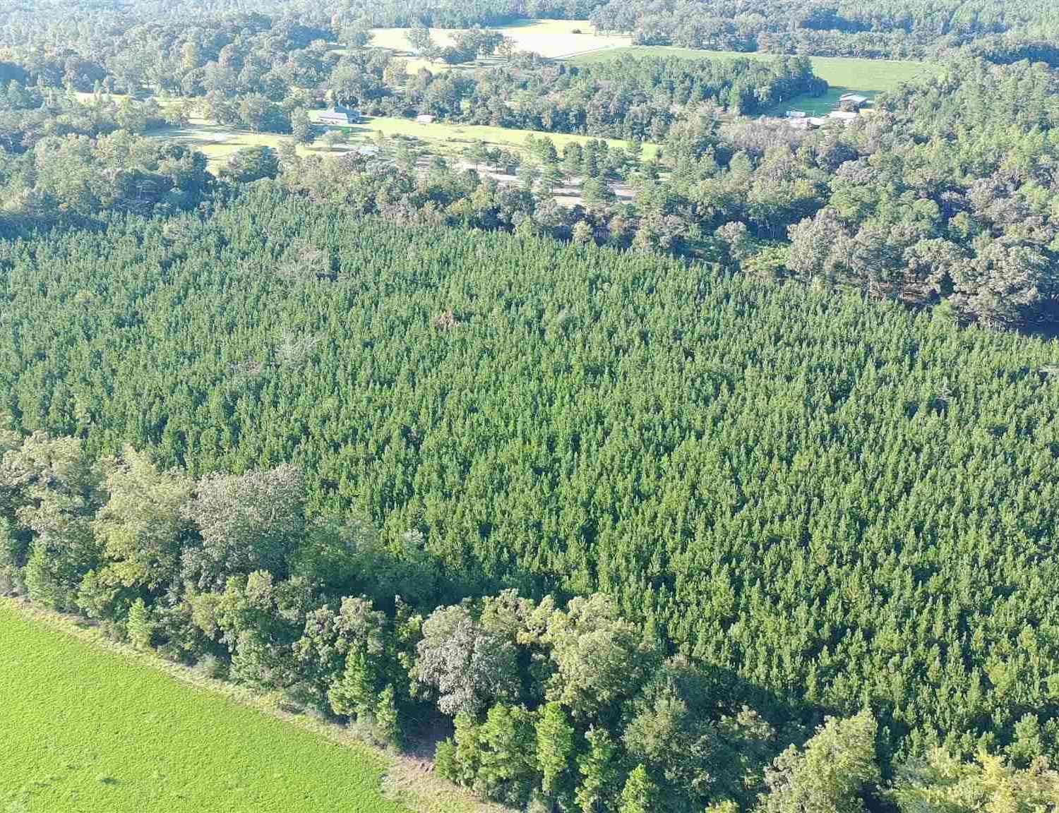 Vacant Land For Sale - 20 ACRES Lewis Rd<br/> Milton, FL 32570