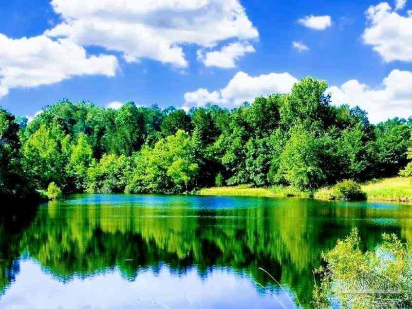 Vacant Land For Sale - Hwy 17<br/> Millry, AL 36558