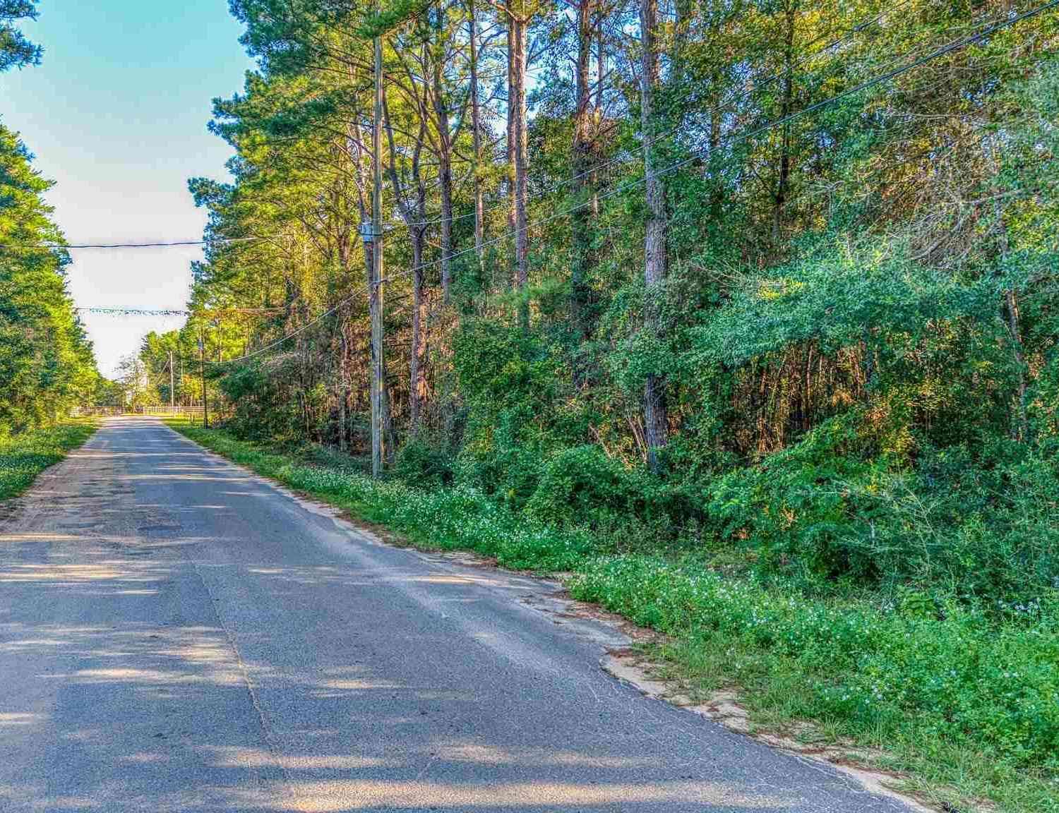 Vacant Land For Sale - 5348 Short Trl<br/> Santa Rosa County, Milton, FL 32583