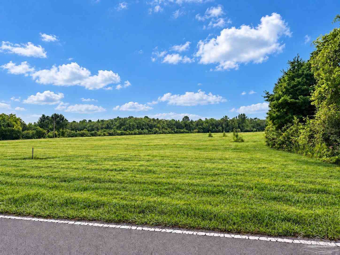 Vacant Land For Sale - 9105 Living Good Ln<br/> Milton, FL 32570