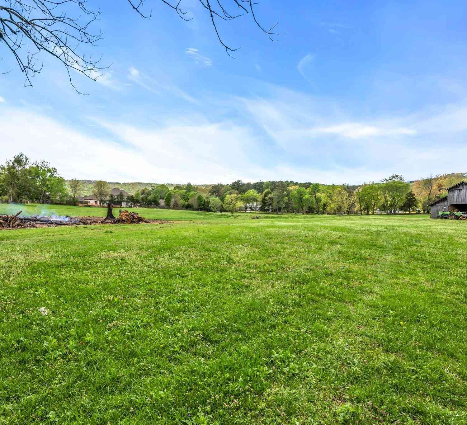 Slider Thumb