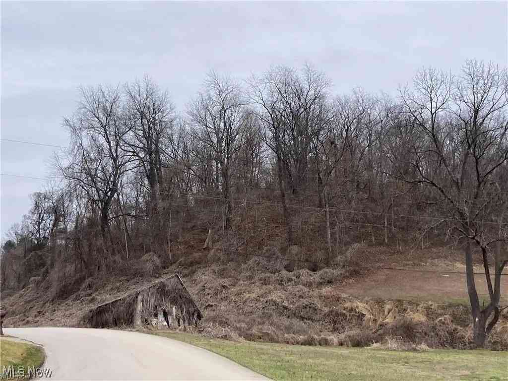 Slider Thumb