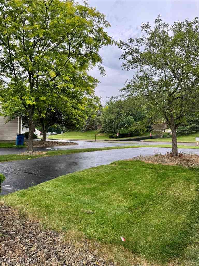 Slider Thumb