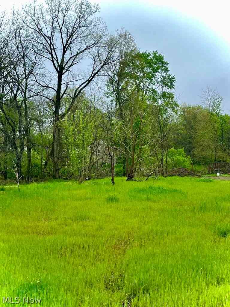 Slider Thumb