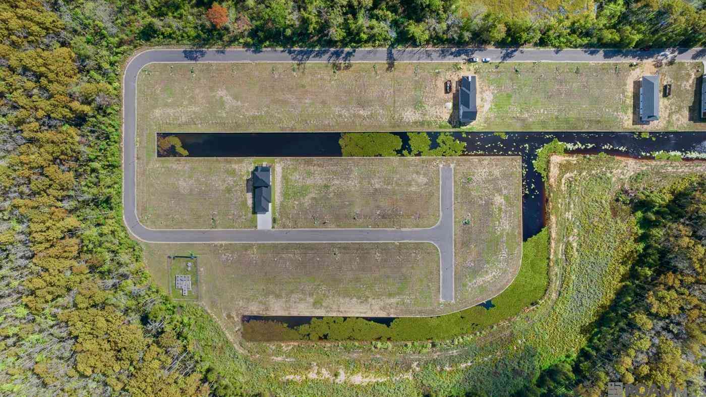 Slider Thumb