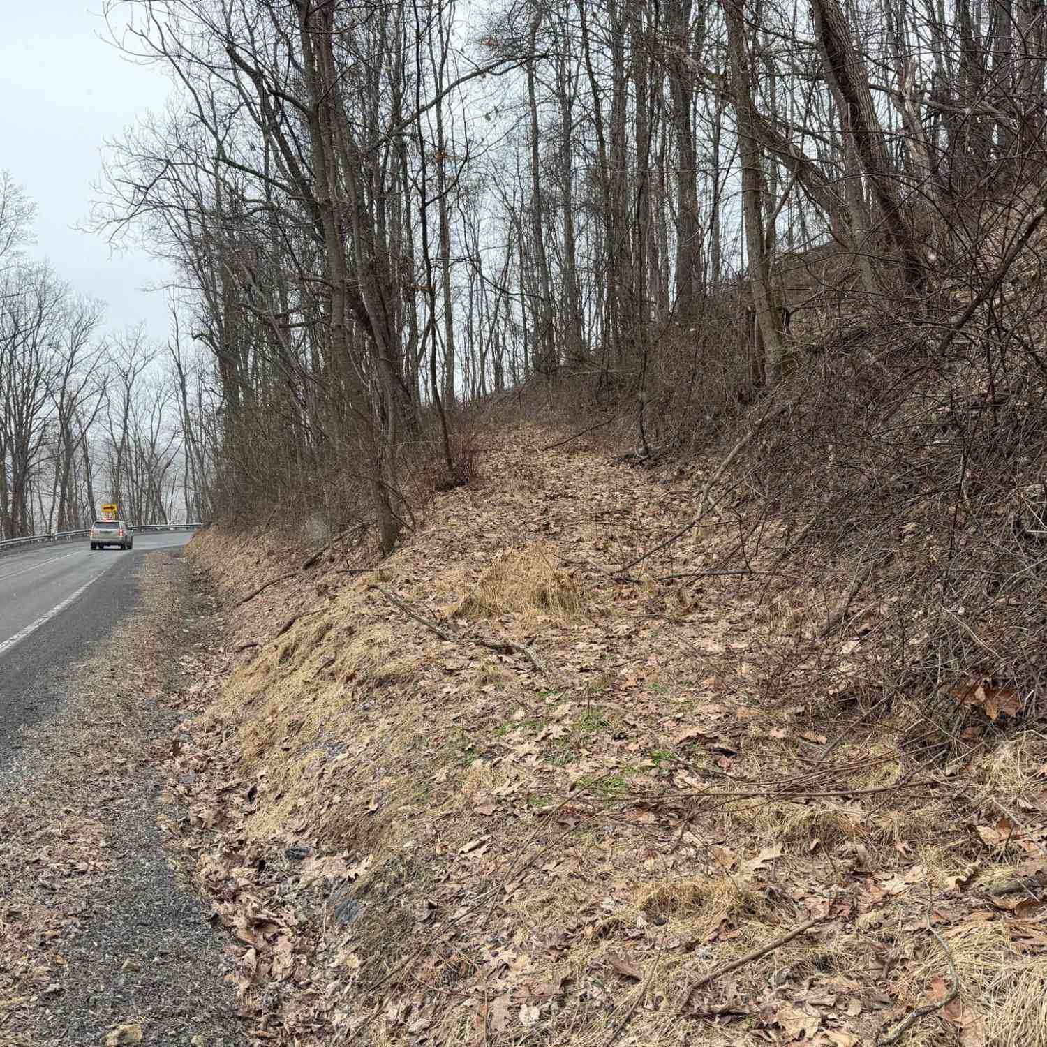 Slider Thumb