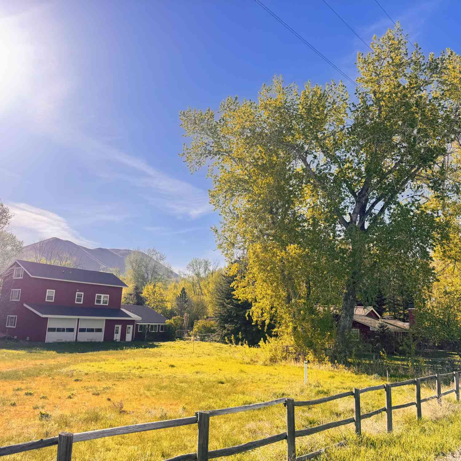 Slider Thumb