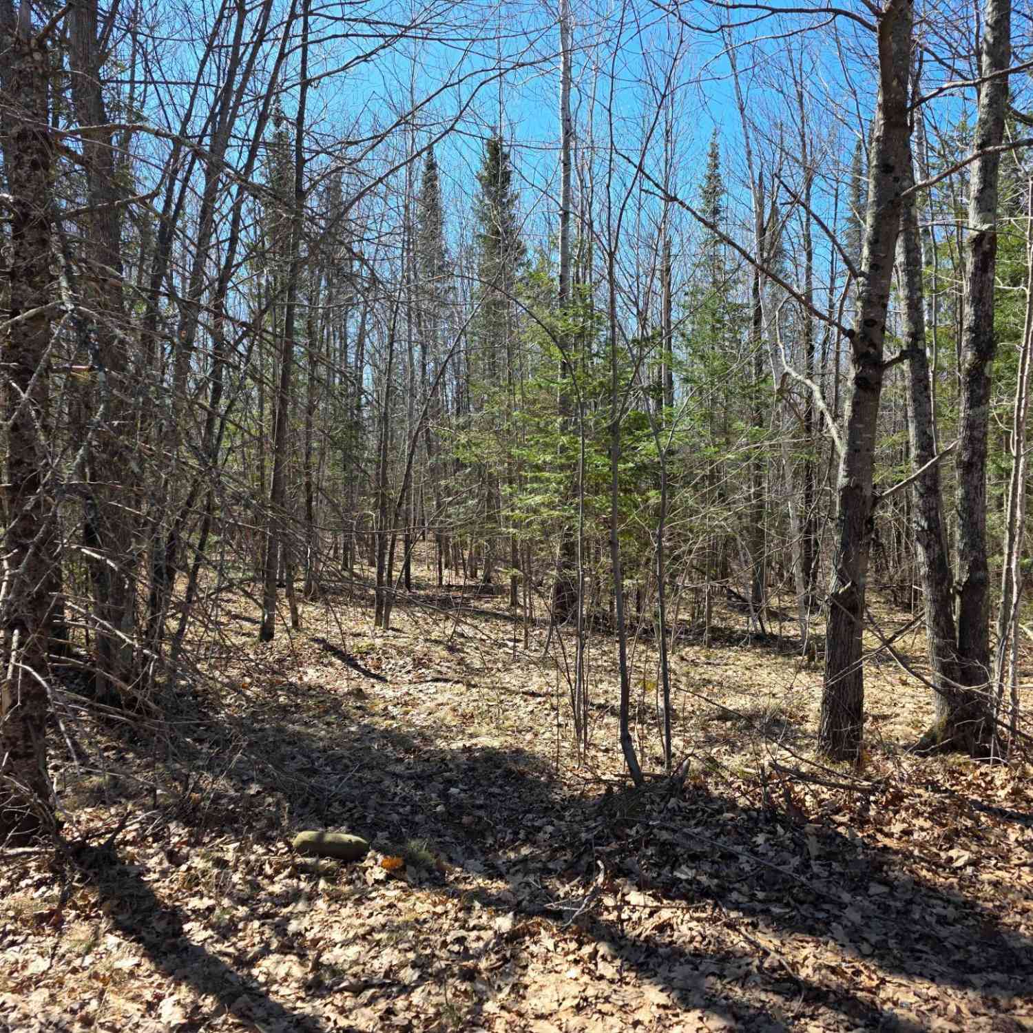 Slider Thumb