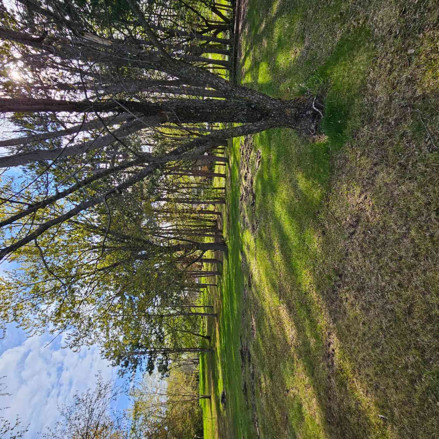 Slider Thumb