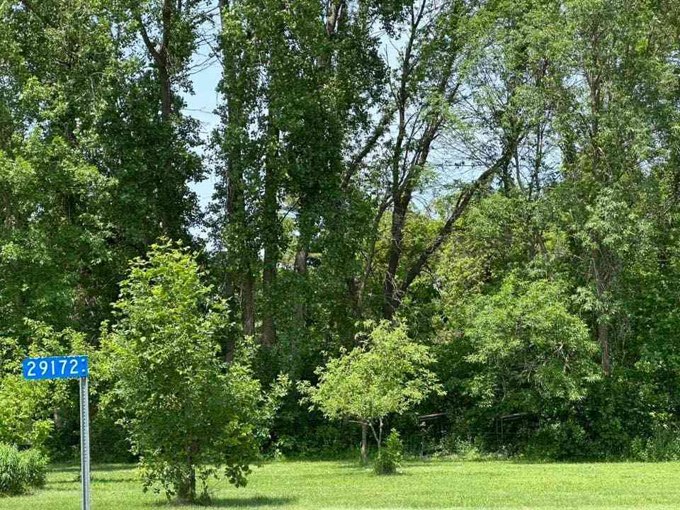Slider Thumb