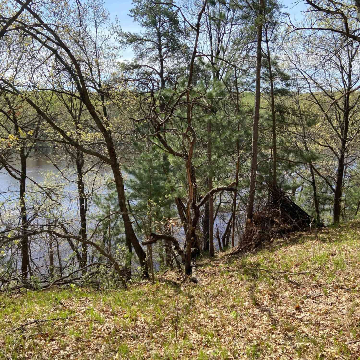 Slider Thumb