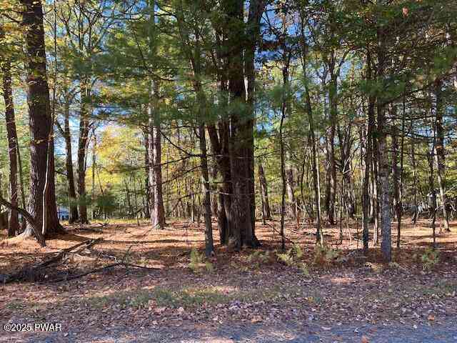 Slider Thumb