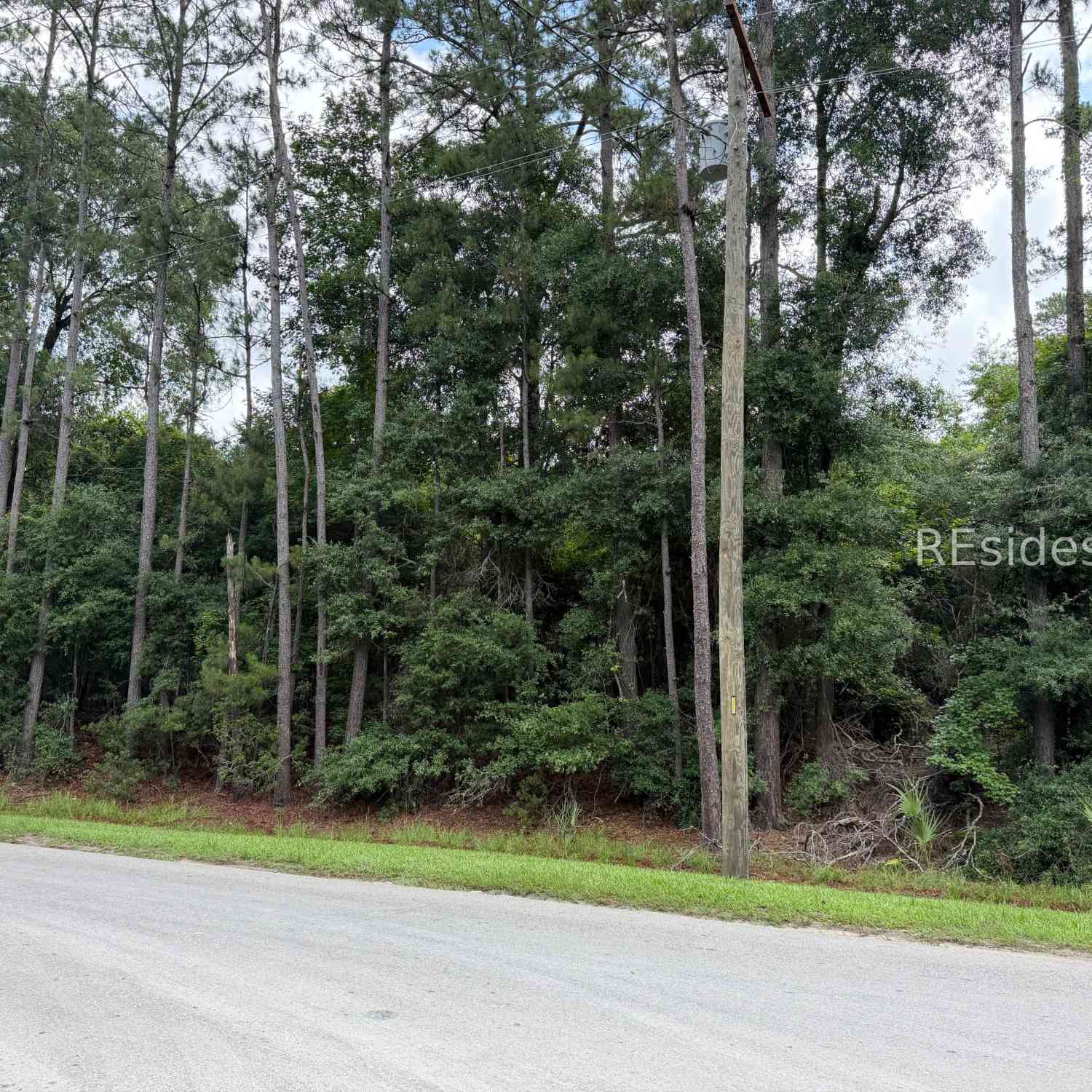 Slider Thumb