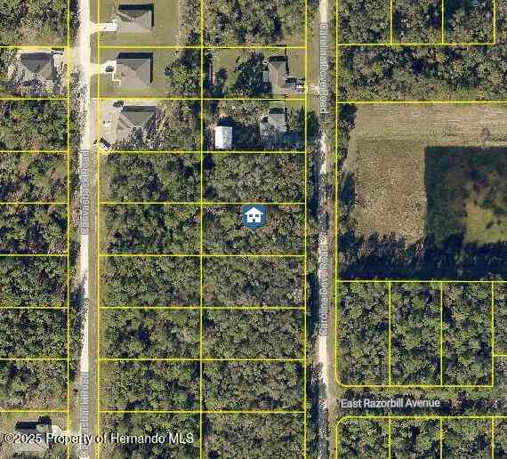 Slider Thumb