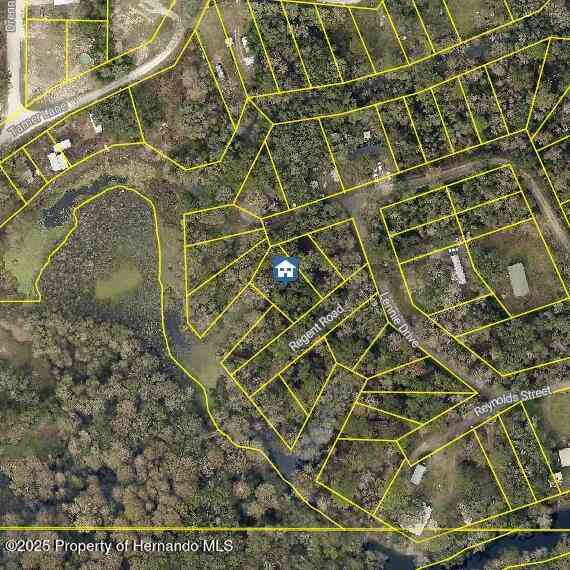 Slider Thumb
