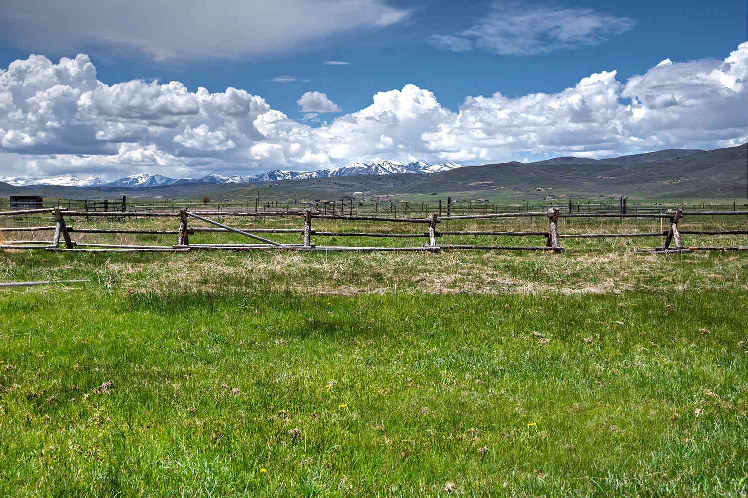 Slider Thumb