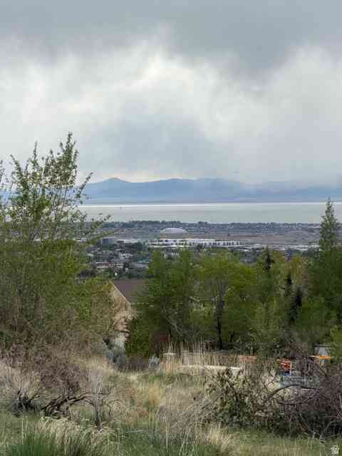 Slider Thumb