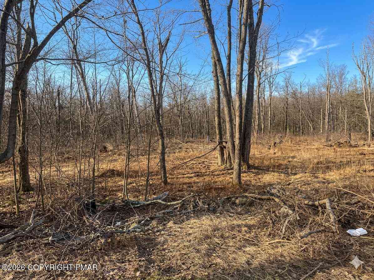 Slider Thumb