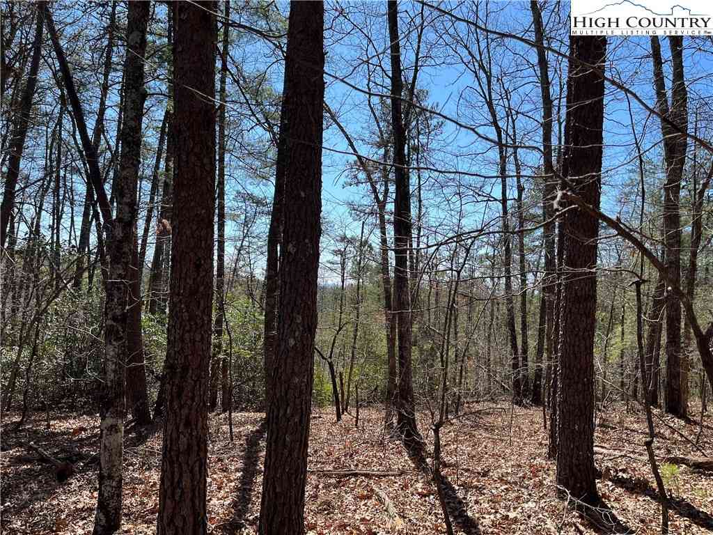 Slider Thumb